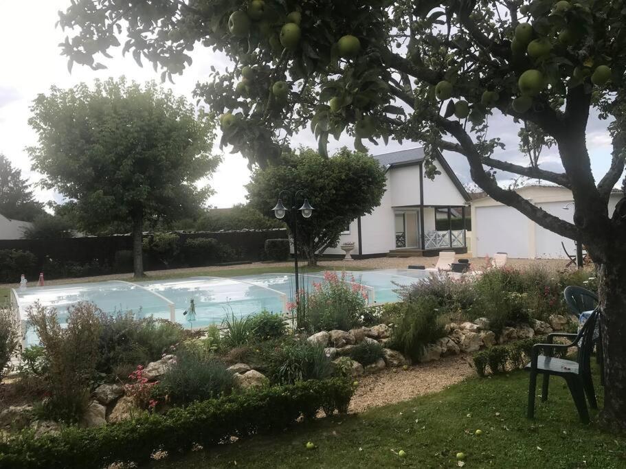 Gite Chalet-Piscine "Belle-Etoile" Touraine Anjou Courcelles-de-Touraine Zewnętrze zdjęcie