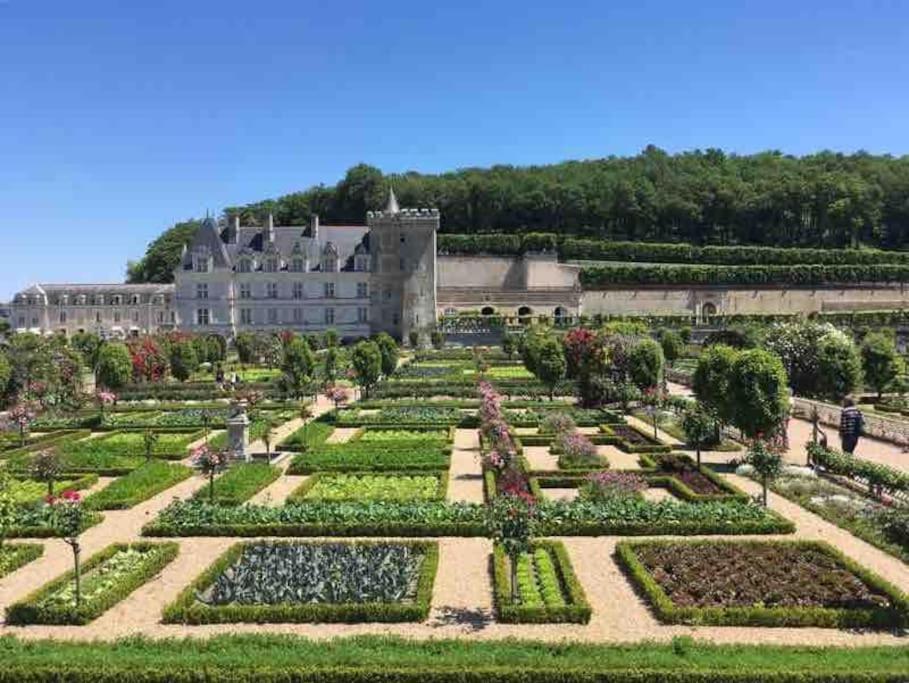 Gite Chalet-Piscine "Belle-Etoile" Touraine Anjou Courcelles-de-Touraine Zewnętrze zdjęcie